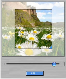 Flash Resize and Crop
